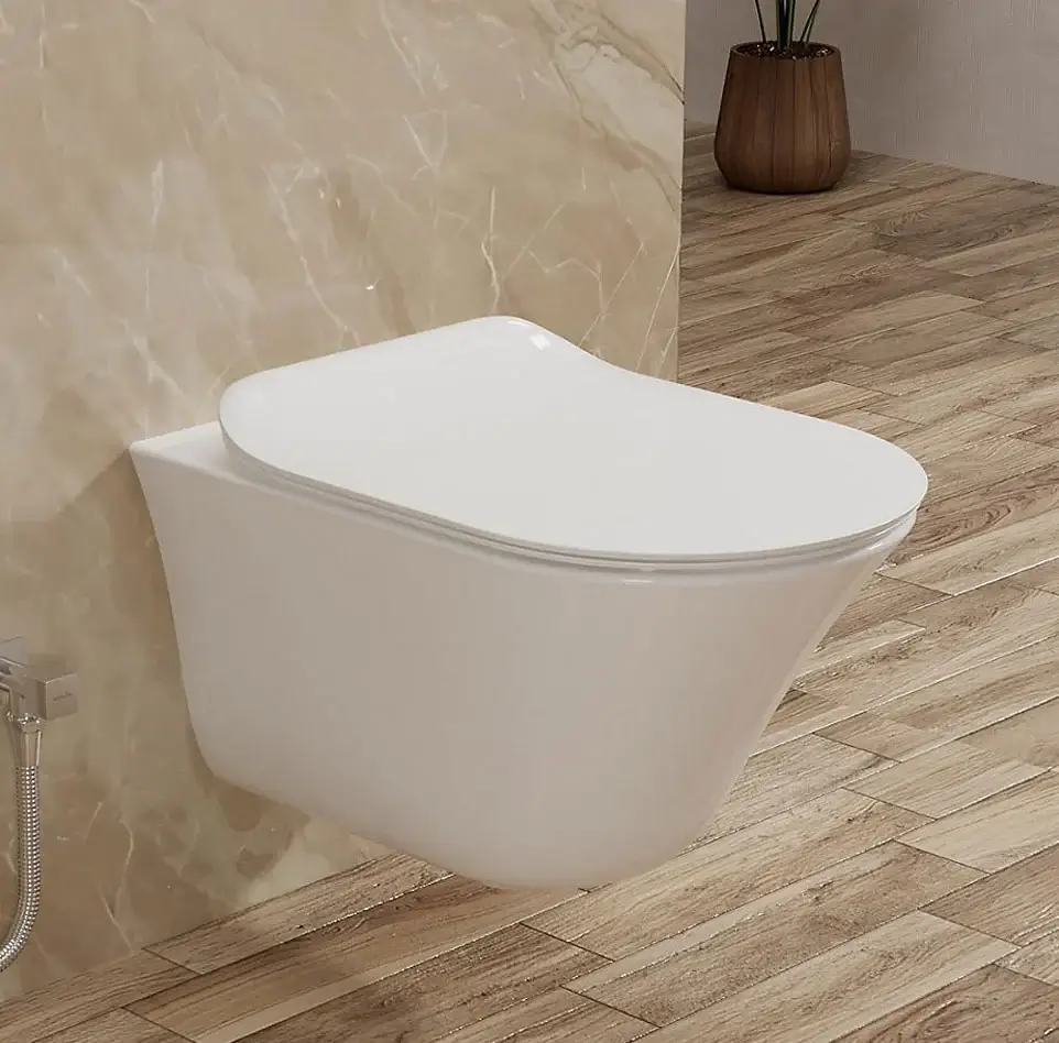 Vive wall hung toilet bundle in White