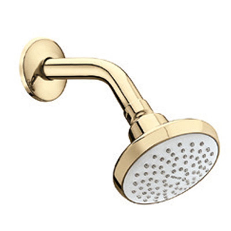 SF SHOWERHEAD WITH ARM & ESCUTCHEON